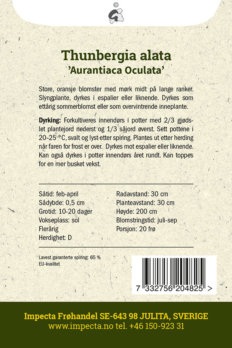 Susanne med det sorte øyet 'Aurantiaca Oculata'
