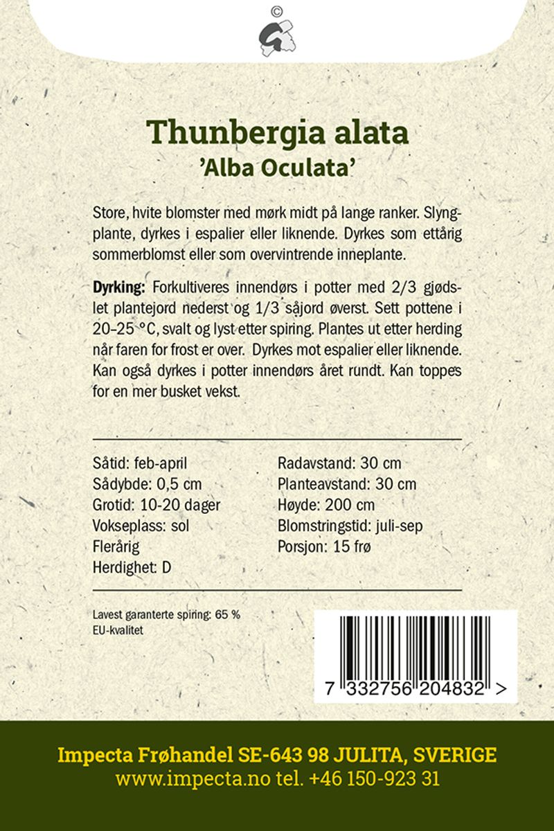 Susanne med det sorte øyet 'Alba Oculata'
