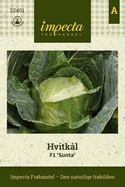 Hovedbilde Hvitkål F1 'Sunta'