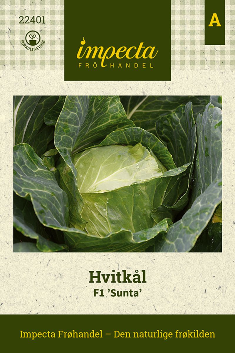 Hvitkål F1 'Sunta'