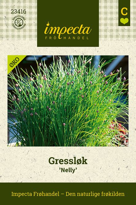Hovedbilde Gressløk 'Nelly'