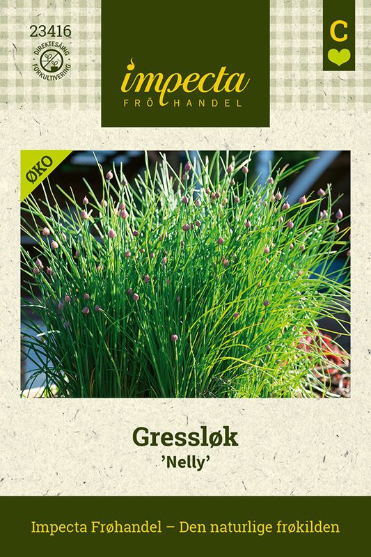 Gressløk 'Nelly'