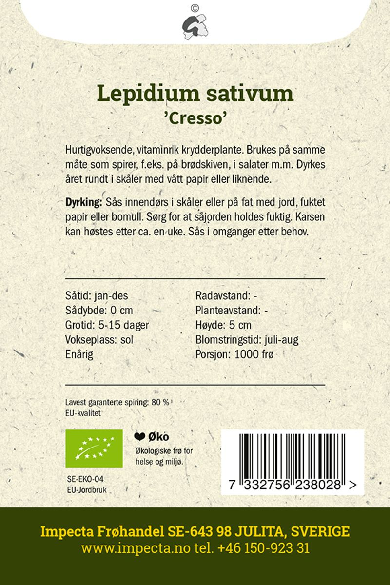 Karse 'Cresso'