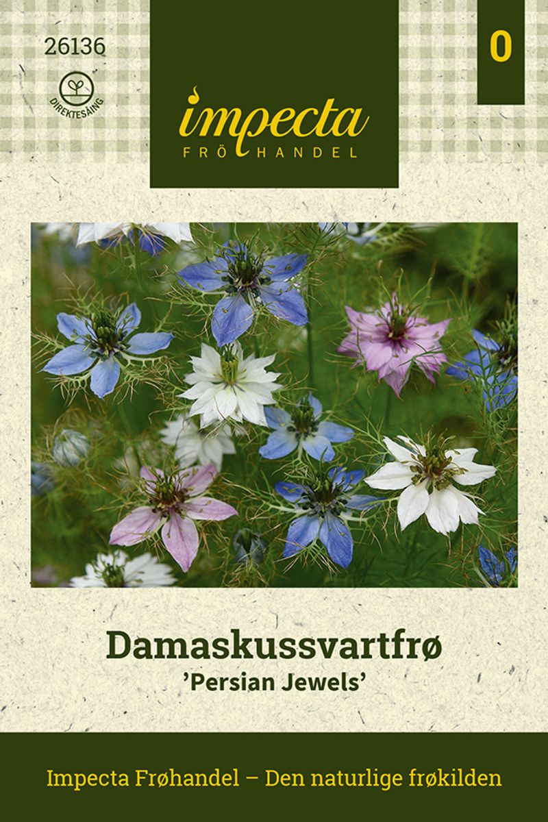 Damaskussvartfrø 'Persian Jewels'