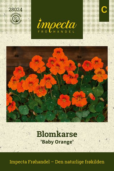 Hovedbilde Blomkarse 'Baby Orange'