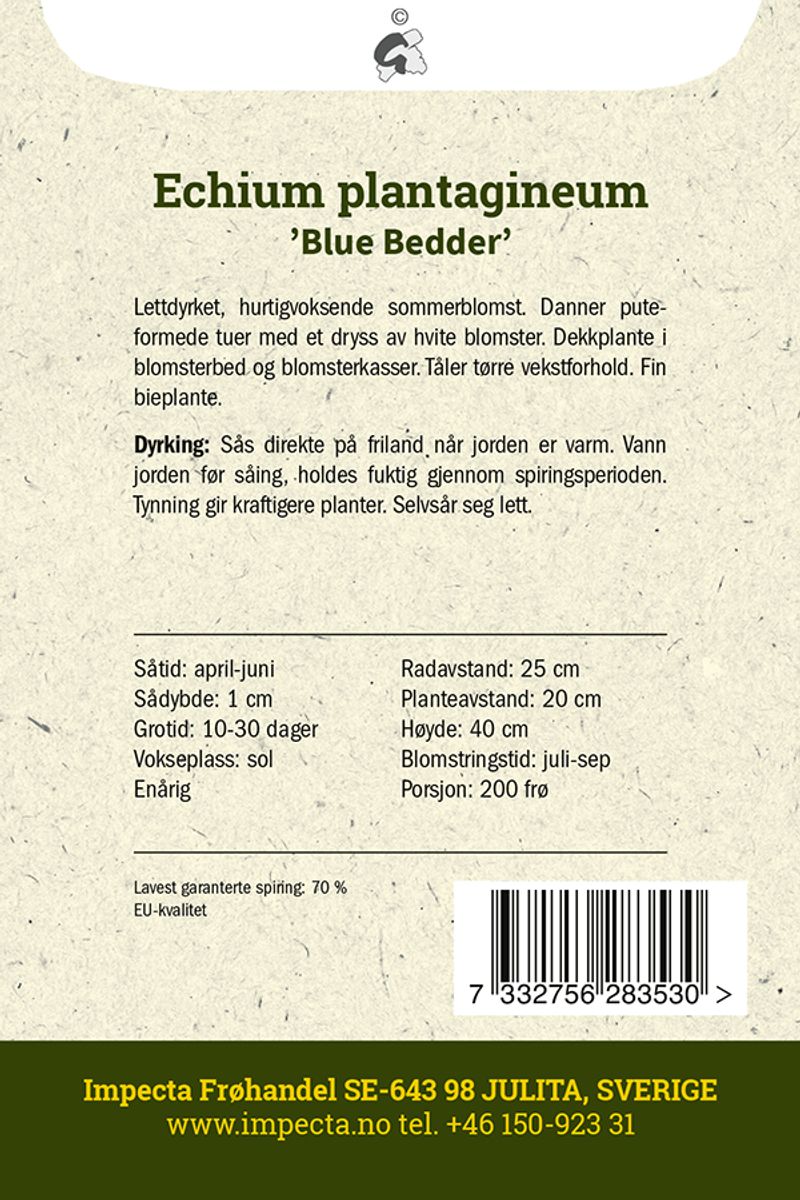 Hageormehode 'Blue Bedder'
