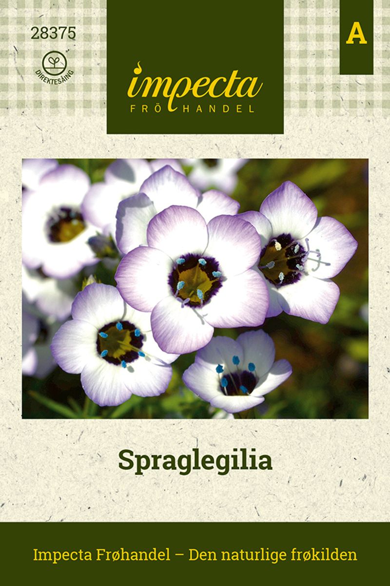 Spraglegilia