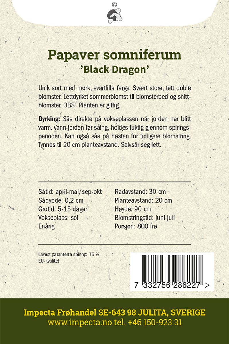 Peonvalmue 'Black Dragon'