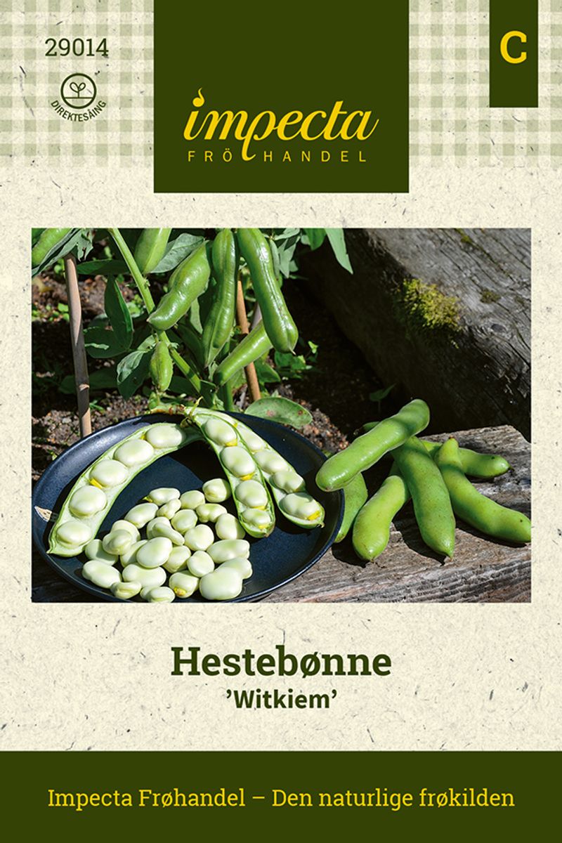 Hestebønne 'Witkiem'