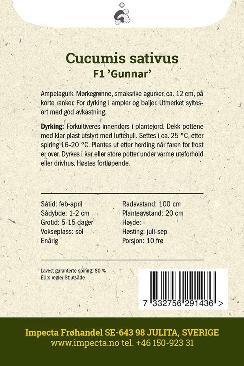 Drueagurk F1 'Gunnar'