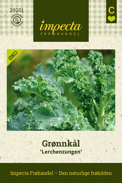 Hovedbilde Grønnkål Lerchenzungen