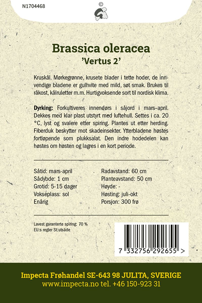 Savoykål 'Vertus 2'