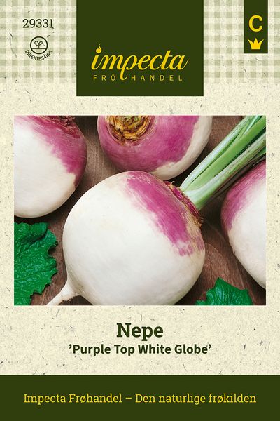 Hovedbilde Nepe 'Purple Top White Globe'