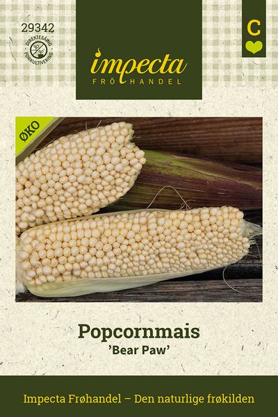 Hovedbilde Popcornmais 'Bear Paw'