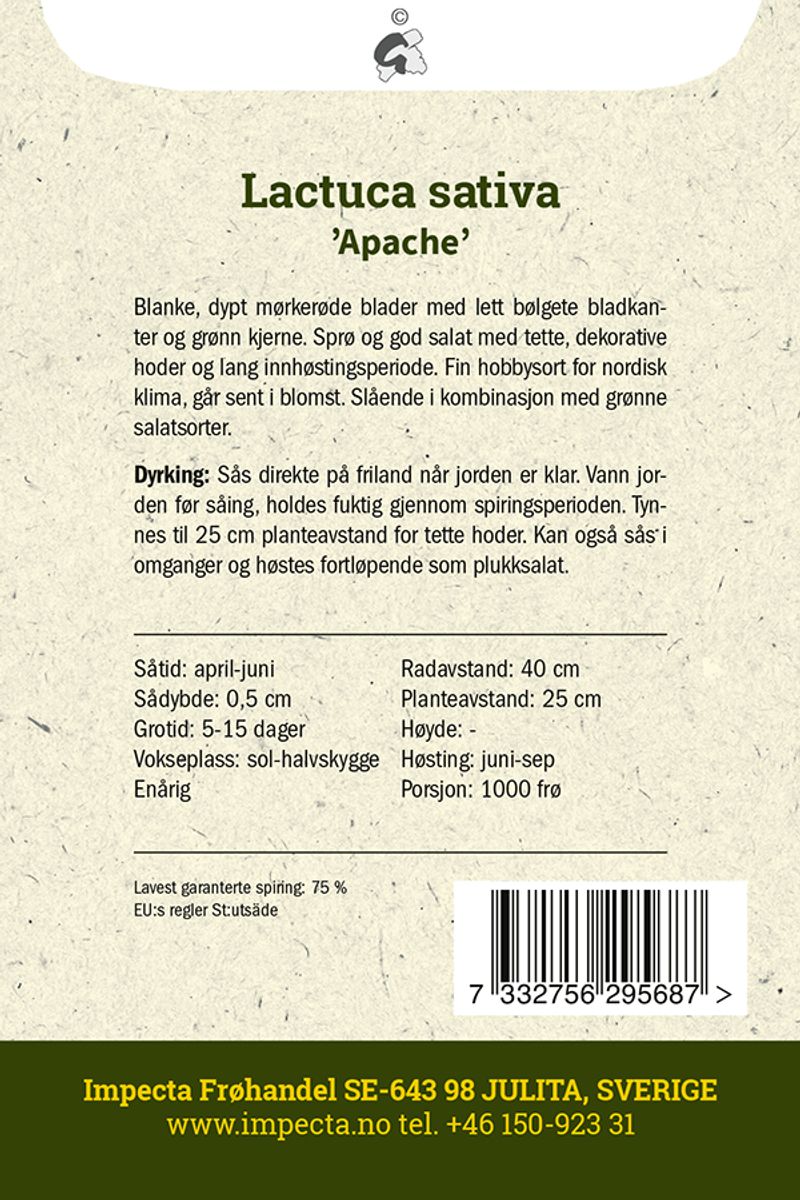 Hodesalat 'Apache'
