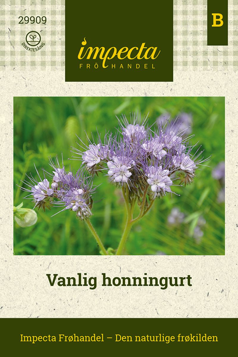Vanlig honningurt