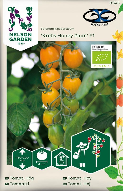Tomat Cocktail. 'Krebs Honey Plum' F1