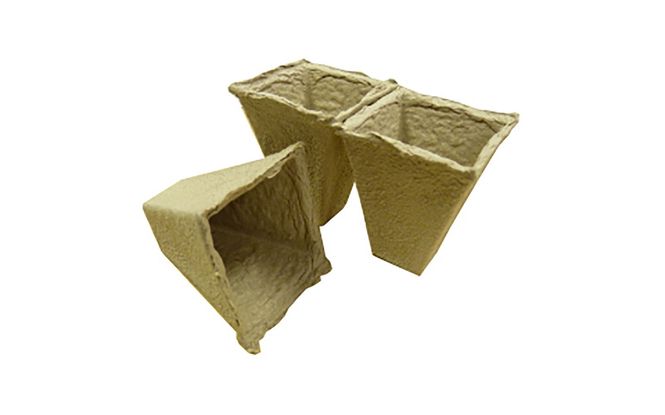 Hovedbilde 20 stk  6x6 cm torvfrie  dyrkningspo