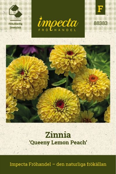 Hovedbilde SINNIA QUEENY LEMON PEACH