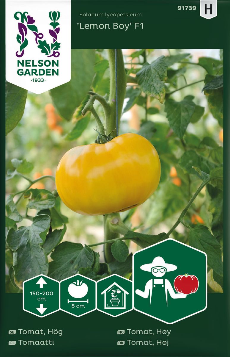 Tomat, Høy, Lemon Boy F1