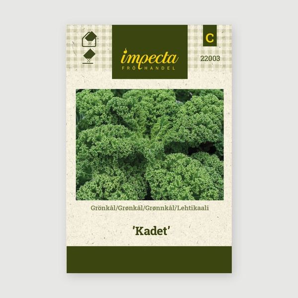 Hovedbilde GRØNNKÅL KADET